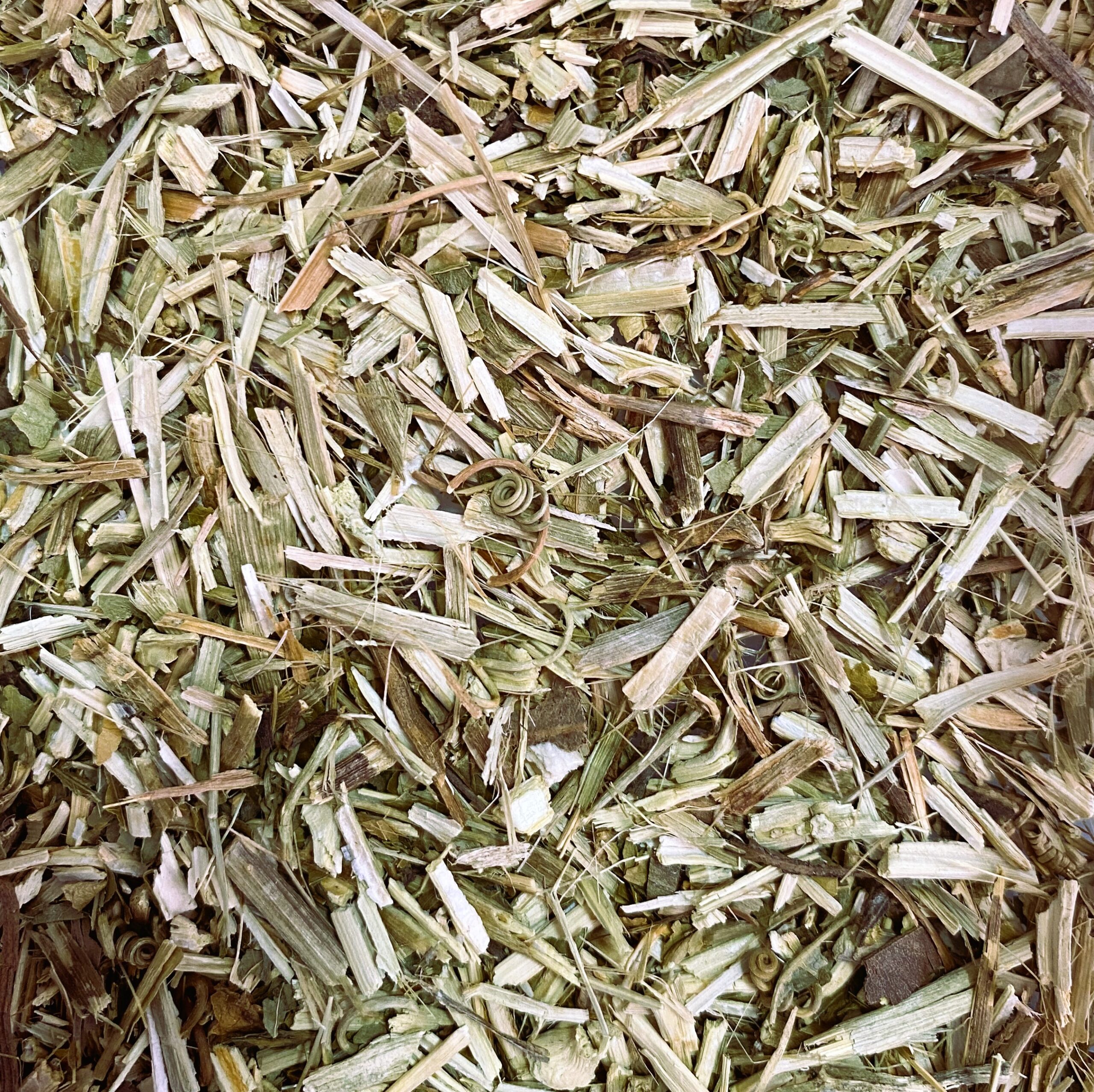 Pasiflora