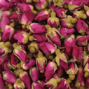 Rosa Rugosa