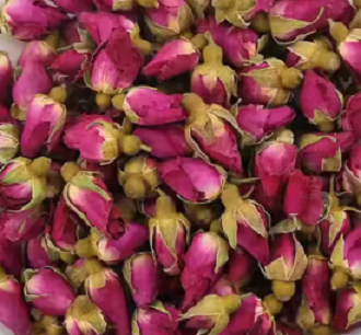 Rosa Rugosa